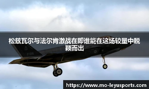 乐鱼体育app